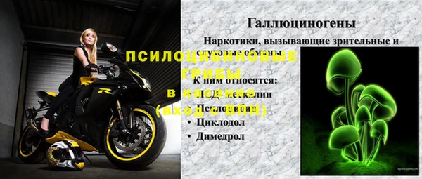 МДПВ Алзамай