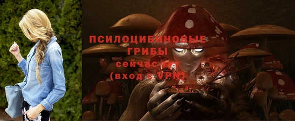 a pvp Арсеньев