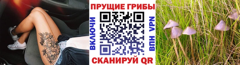 Галлюциногенные грибы мухоморы  Дмитриев 
